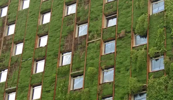 Embrace a Greener Future in Construction. Building facade fully covered with green vegetation integrated into the structure.