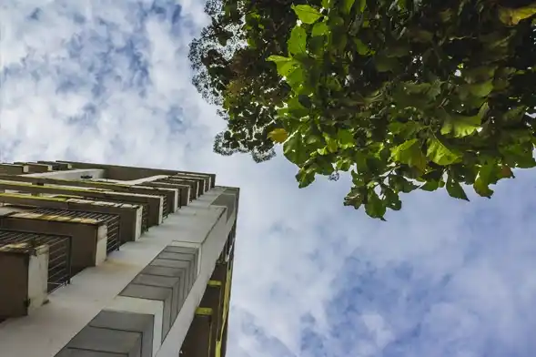 Accelerate Your Sustainable Construction Goals. Upward view of a modern building next to a leafy tree under a cloudy sky.