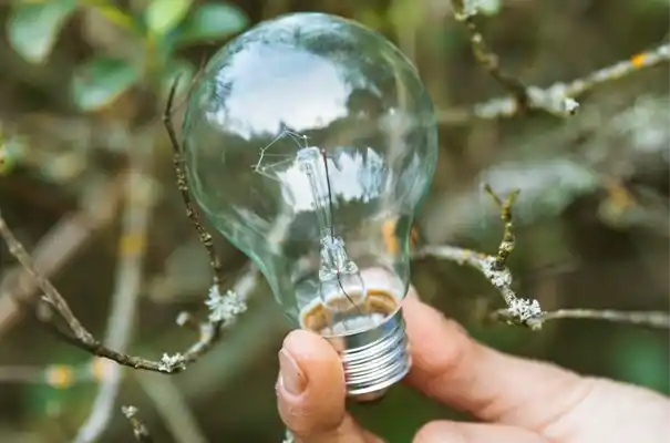 Innovative Ideas Rooted in Nature. Hand holding a clear lightbulb among branches symbolizing sustainable innovation.